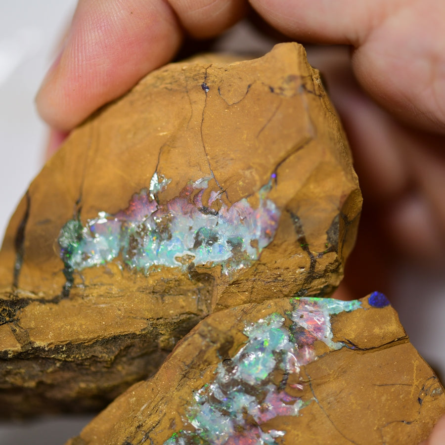 990 cts Australian Boulder Opal Rough Specimens x 2 pcs Split