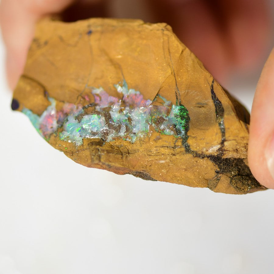 990 cts Australian Boulder Opal Rough Specimens x 2 pcs Split