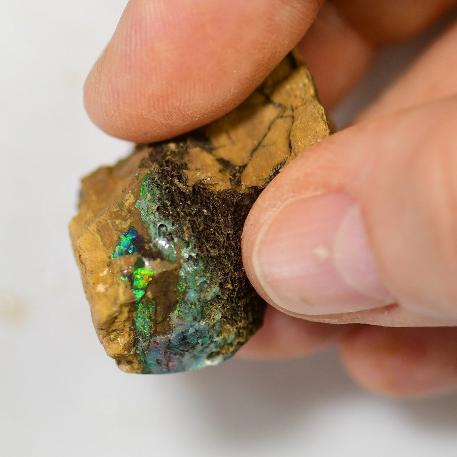 840 cts Australian Boulder Opal Rough Specimens x 3 pcs Split