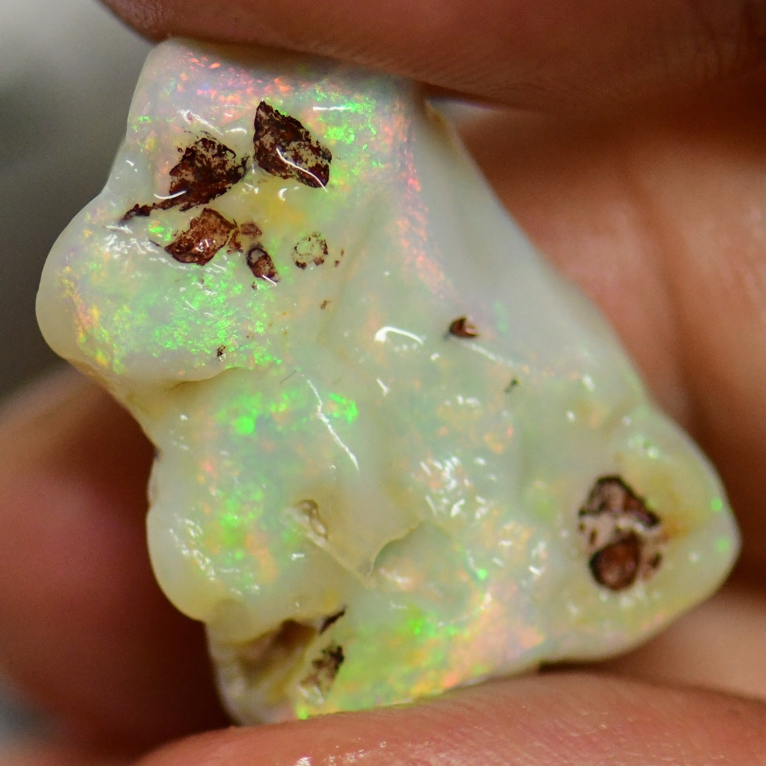 Single Opal Rough for Carving