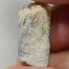 13.10 cts Australian Opal Rough, Lightning Ridge Fossil, Polished