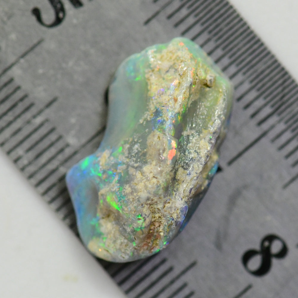 9.53 cts Australian Opal Rough, Lightning Ridge Fossil,  Specimen