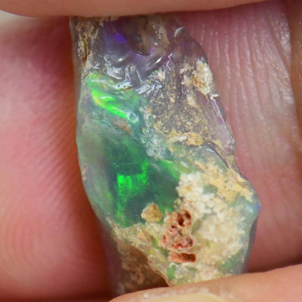 3.2 cts Australian Opal Rough, Lightning Ridge Fossil, Specimen