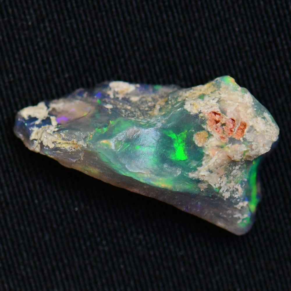 Australian Opal Rough, Lightning Ridge Fossil, Polished Specimen