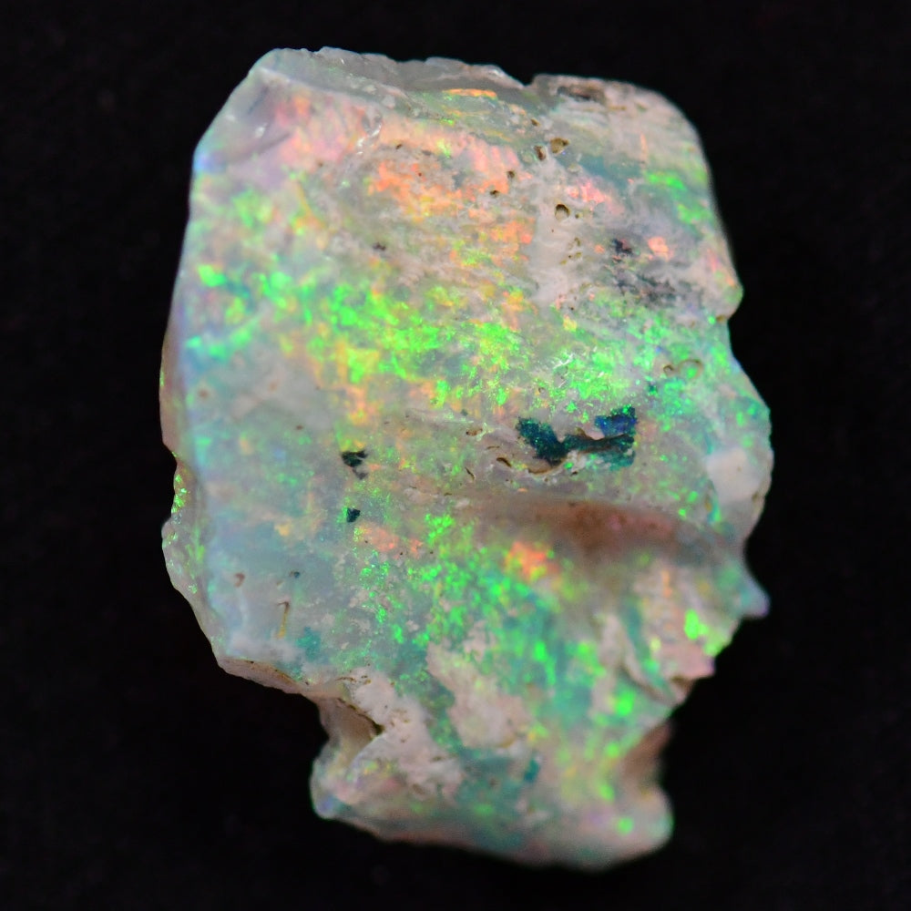 Australian Opal Rough Lightning Ridge Wood Fossil Polished Specimen