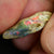 Australian Opal Rough Lightning Ridge Wood Fossil Polished Specimen