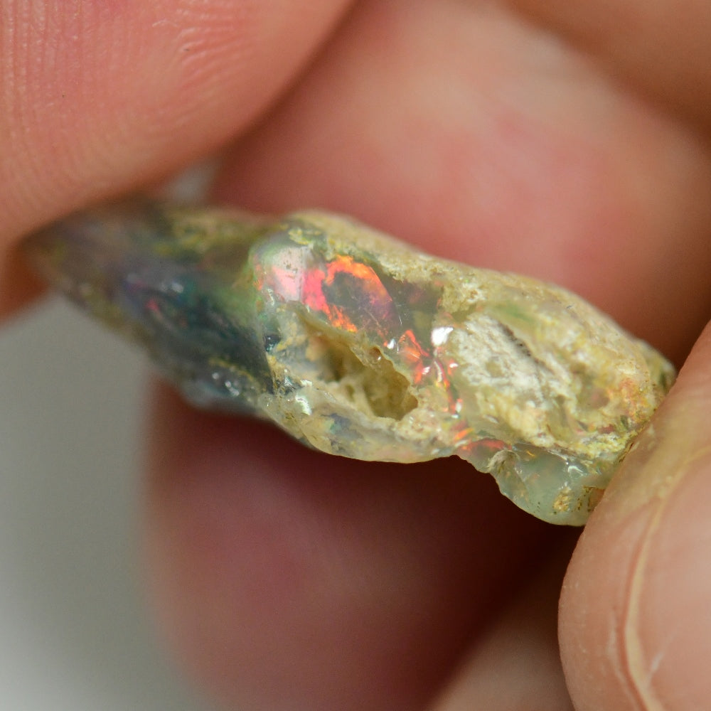 8.43 cts Australian Opal Rough Lightning Ridge Wood Fossil Polished Specimen