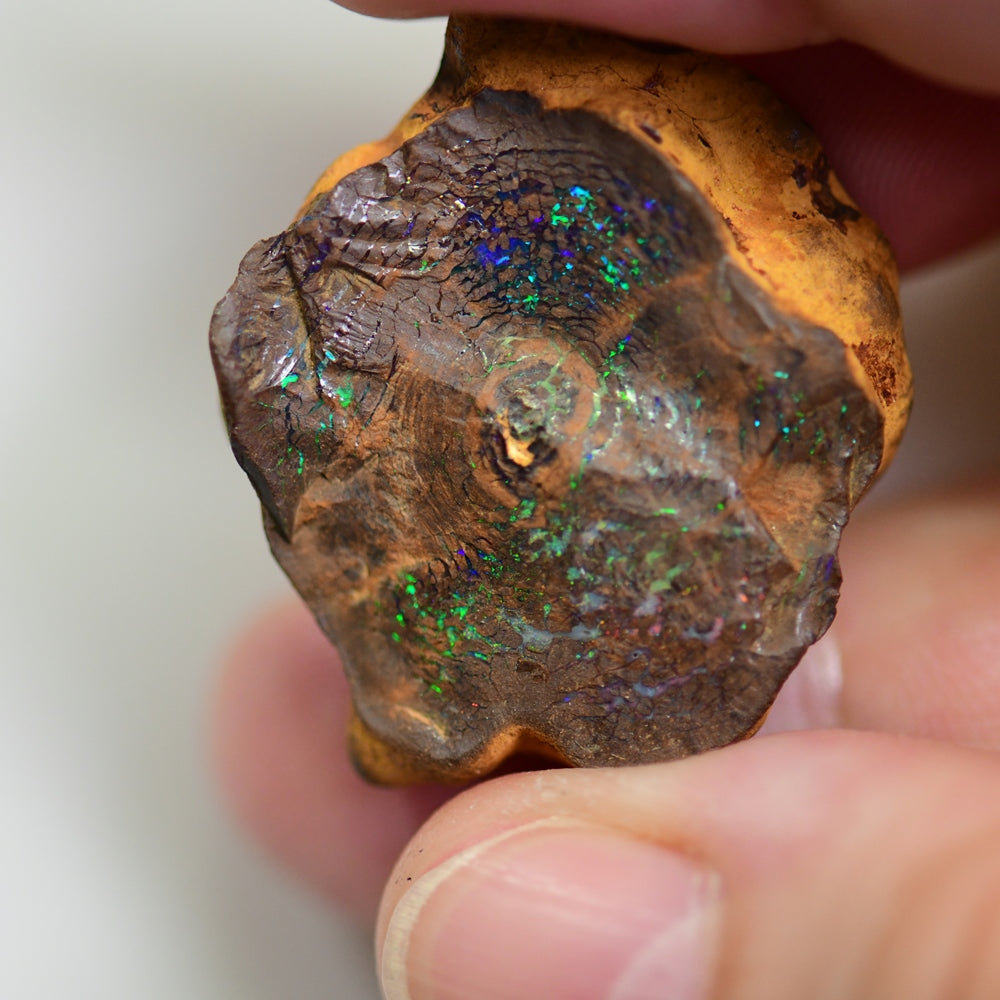41.75 cts Australian Boulder Opal Polished Specimen Gem