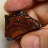 190 cts Australian Rough Boulder Opal  Parcel