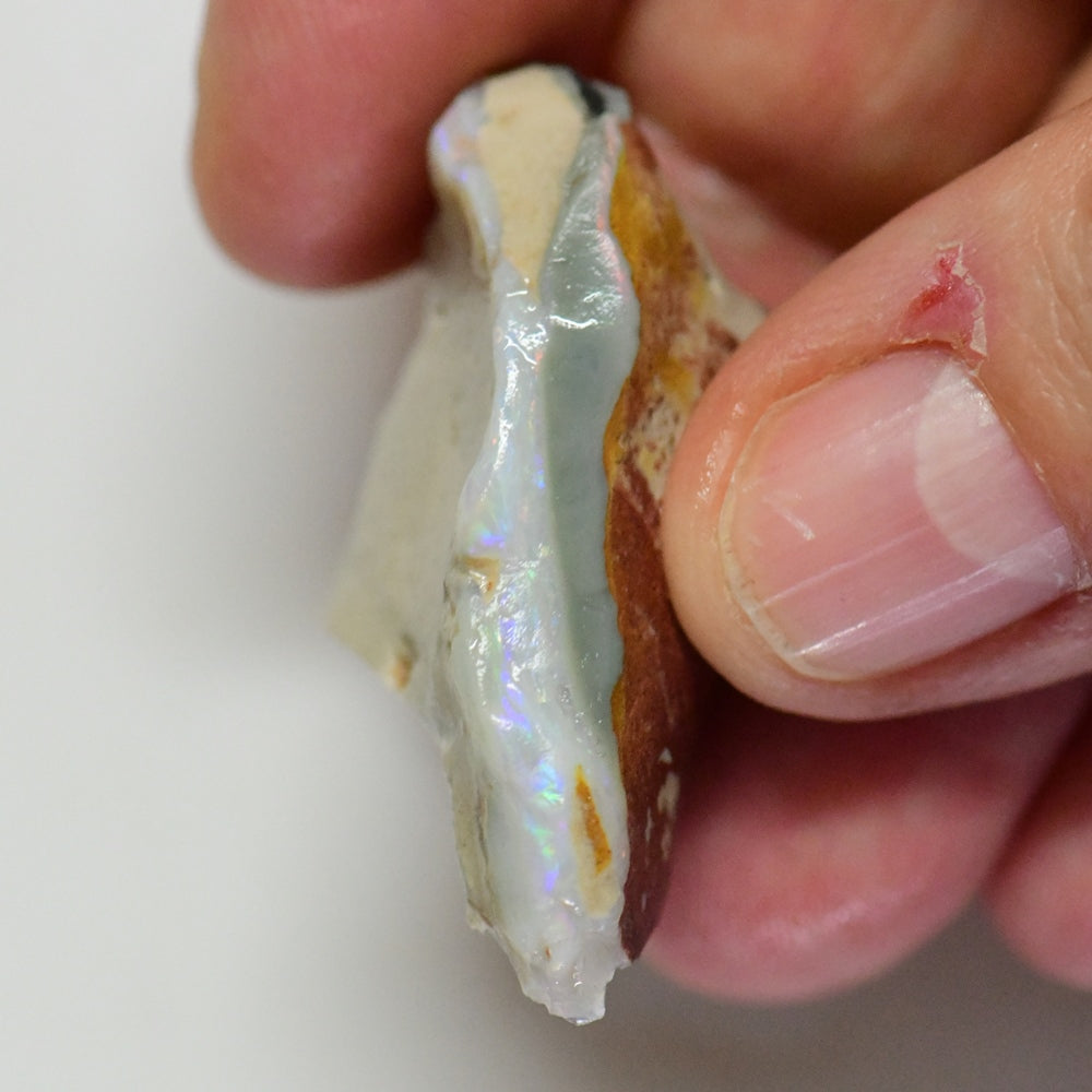 49.85 cts Australian Rough Opal for Carving Lightning Ridge