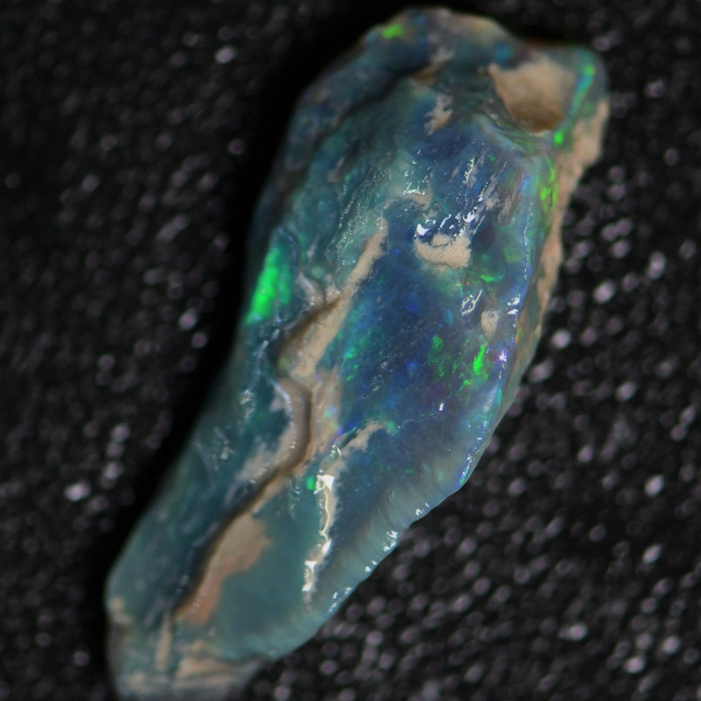 Wood Fossil opal