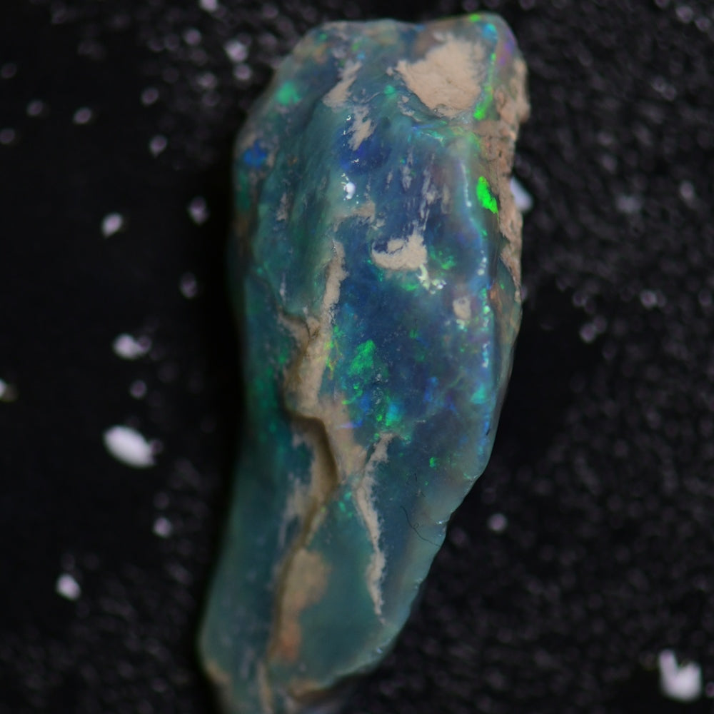 Opal Fossils