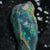 Australian Opal Rough, Lightning Ridge Fossils