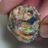 fossil opal lightning rodge