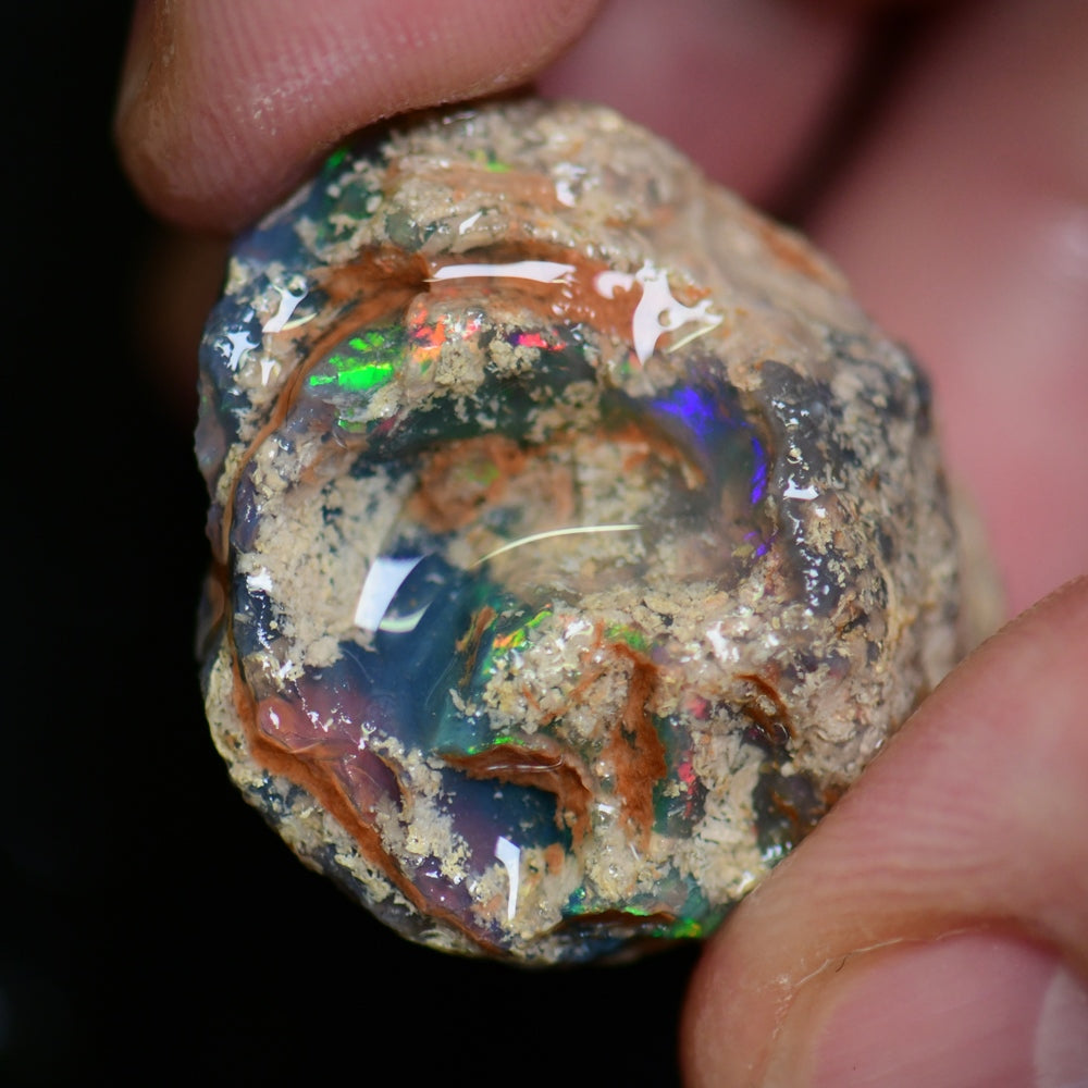 fossil opal