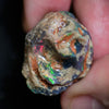 Australian Opal Rough, Lightning Ridge Fossil