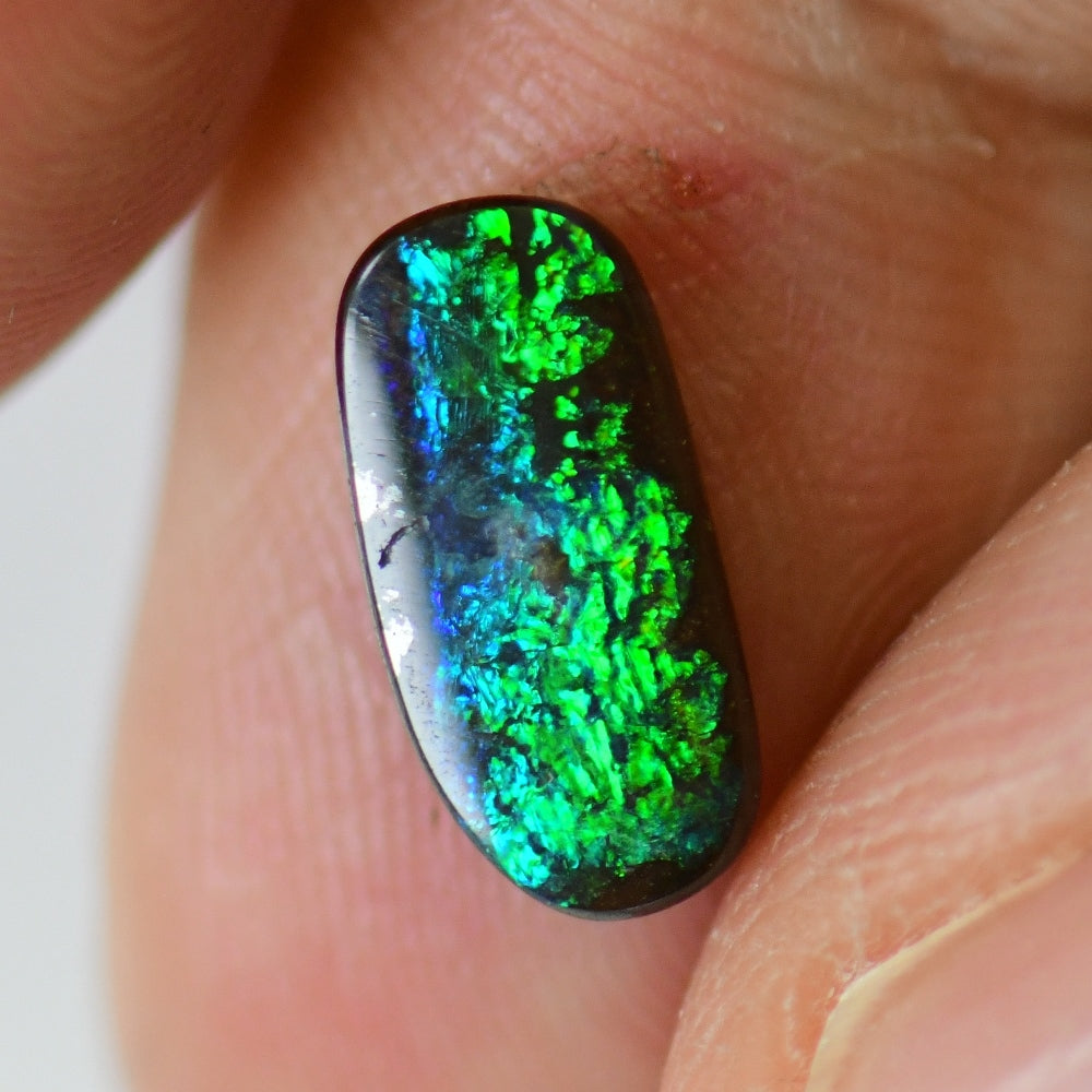 1.90 cts Australian Boulder Opal, Cut Stone