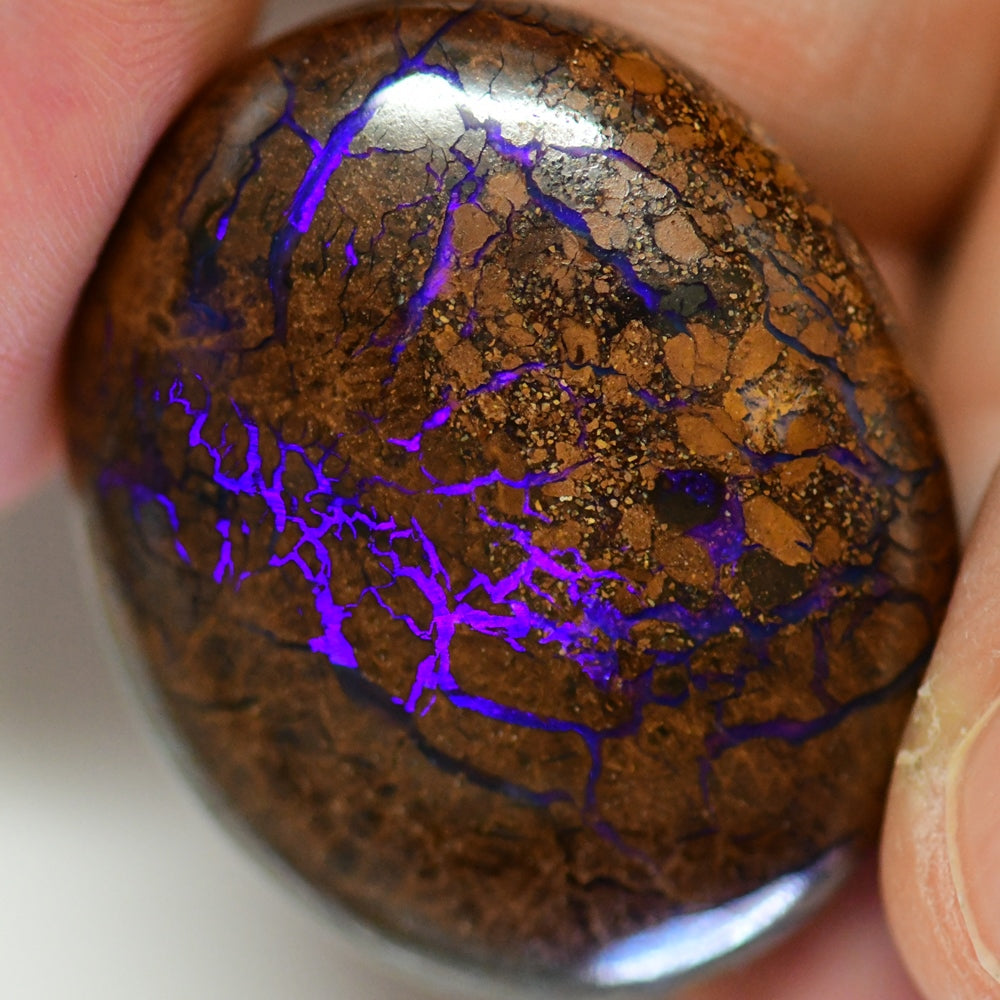 42.5 cts Australian Boulder Opal, Cut Stone