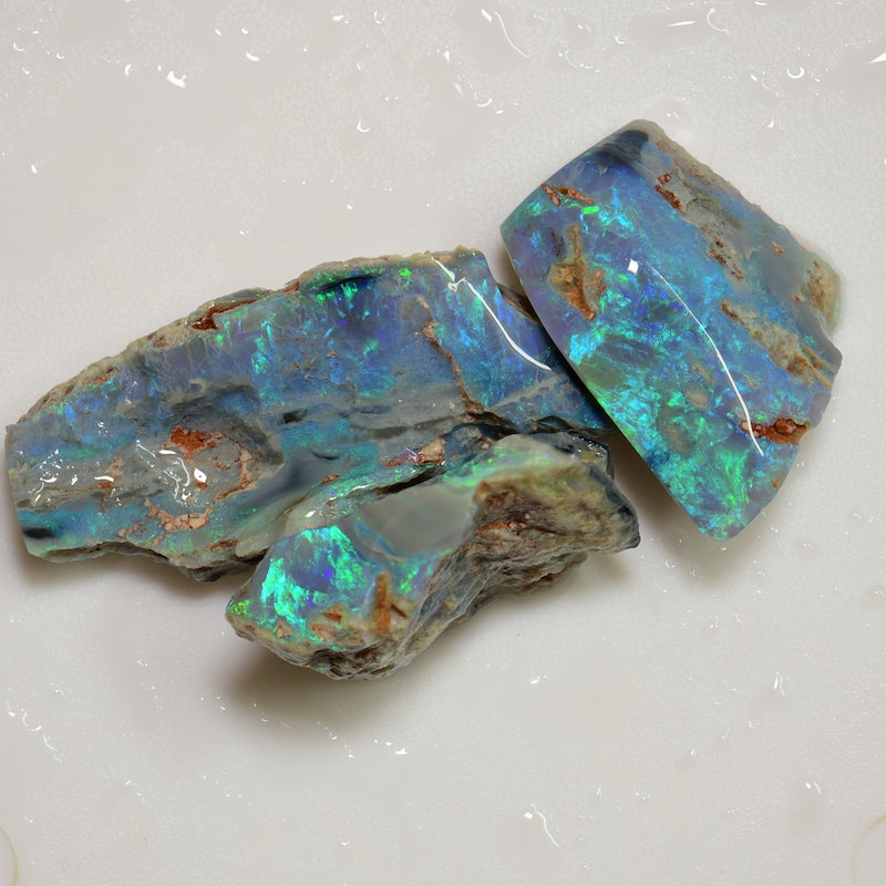 Fossils Opal