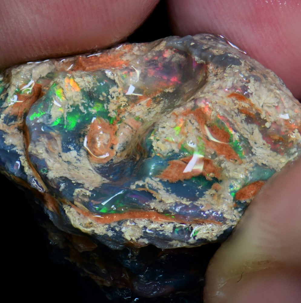 Opal Fossils