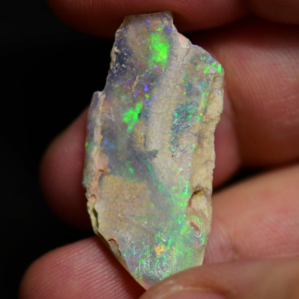11.7 cts Australian Opal Rough Lightning Ridge Polished Specimen Wood Fossil