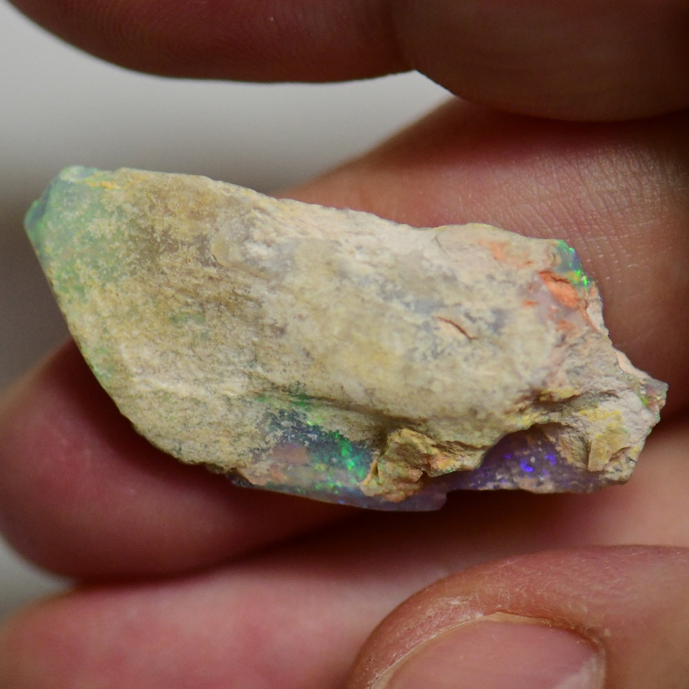 11.7 cts Australian Opal Rough Lightning Ridge Polished Specimen Wood Fossil