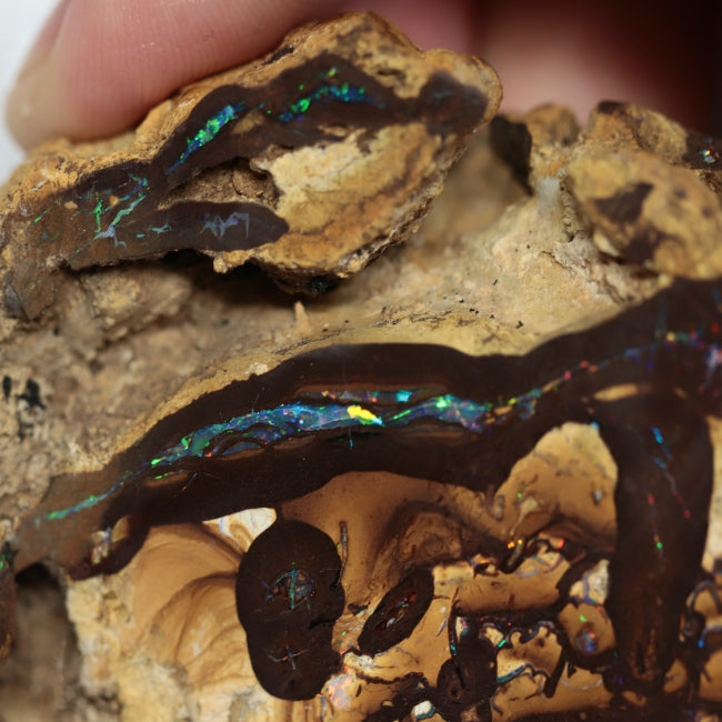 540 cts Australian Boulder Opal Rough- Specimen