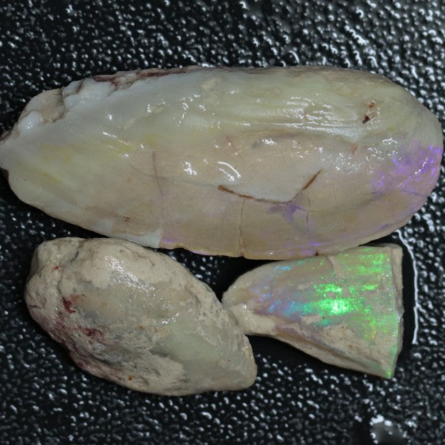 Opal Rough Parcel, Fossilised Shell