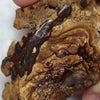540 cts Australian Boulder Opal Rough- Specimen