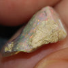 6.1 cts Australian Opal Rough Lightning Ridge Wood Fossil Polished Specimen