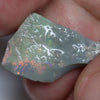 52.90 cts Opal Rough for Carving, Parcel 14.7x10.3x6.2mm