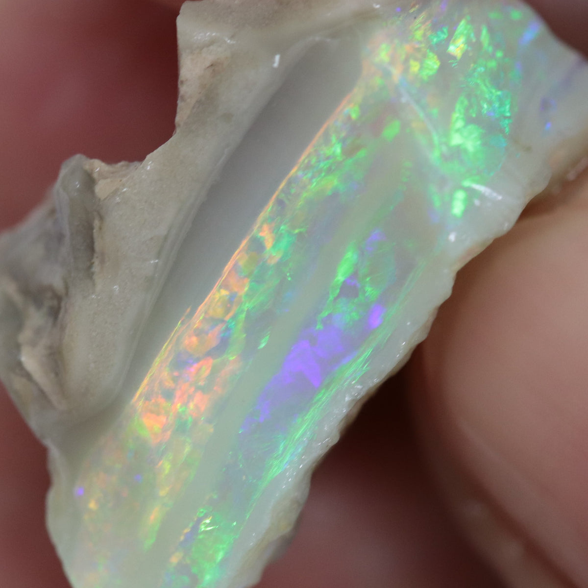 Single Opal Rough