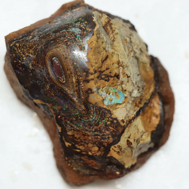 1450 cts Australian Boulder Opal Rough Specimen