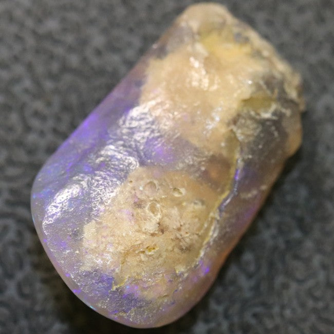 9.48 cts Australian Opal Rough Lightning Ridge Wood Fossil Polished Specimen