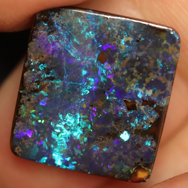 Australian Boulder Opal, Cut Loose Gem Stone