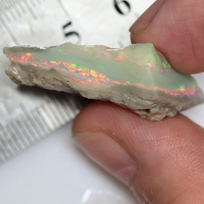 28.7cts Australian  Opal Rough Lightning Ridge