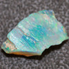 5.39 cts Australian Opal Rough Lightning Ridge Wood Fossil Polished Specimen
