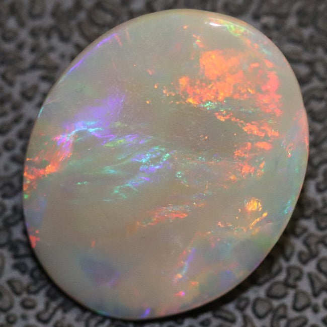3.16 cts Australian Semi Black Opal Solid Lightning Ridge Cabochon Loose Stone