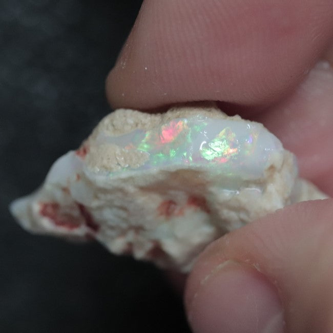 11.80 cts Australian Lightning Ridge, Opal Rough for Carving