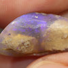 9.48 cts Australian Opal Rough Lightning Ridge Wood Fossil Polished Specimen
