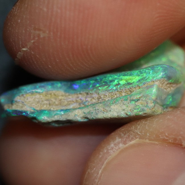 7.81 cts Australian Opal Rough Lightning Ridge Wood Fossil Polished Specimen