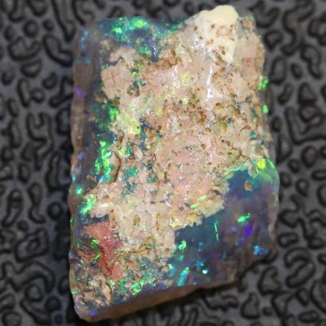 wood opal fossil