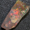 8.80 cts Australian Opal Rough Lightning Ridge Wood Fossil Polished Specimen