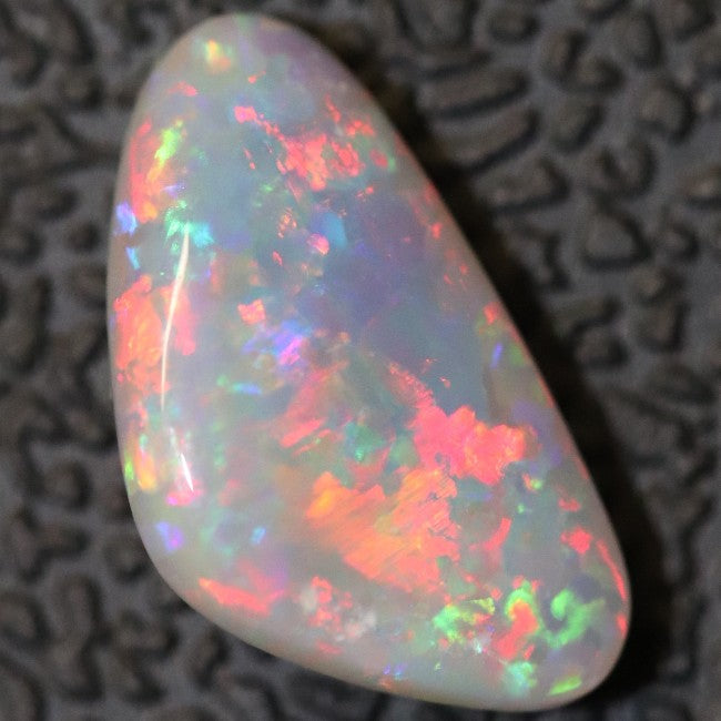 1.43 cts Australian Semi Black Opal Solid Lightning Ridge Cabochon Loose Stone
