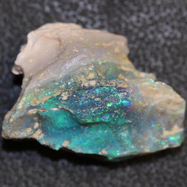 18.6 cts Australian Opal Rough Lightning Ridge Wood Fossil Polished Specimen