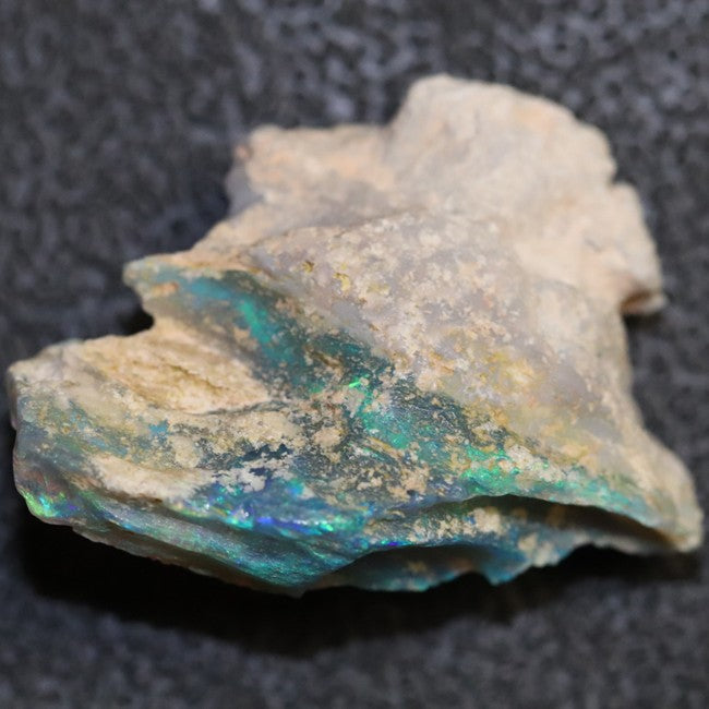 18.6 cts Australian Opal Rough Lightning Ridge Wood Fossil Polished Specimen
