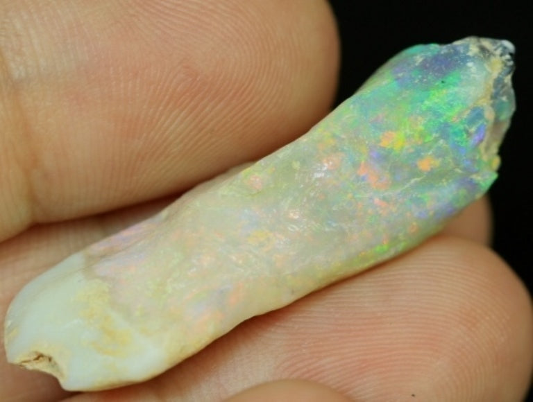 Australian  Opal Rough, Plant Fossil, Gem Stone