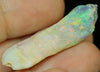 36.3ct Australian  Opal Rough, Plant Fossil, Gem Stone