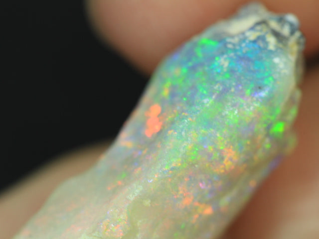 Australian  Opal Rough, Plant Fossil, Gem Stone