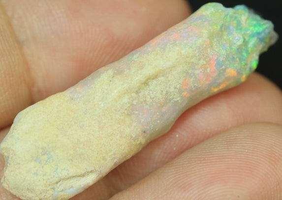 opal fossils